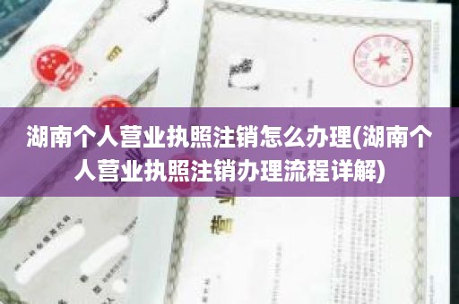 湖南个人营业执照注销怎么办理(湖南个人营业执照注销办理流程详解)
