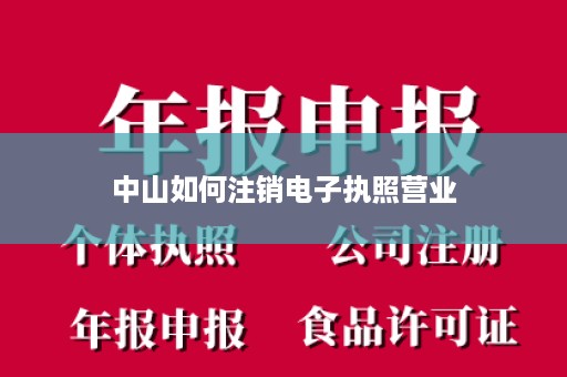 中山如何注销电子执照营业