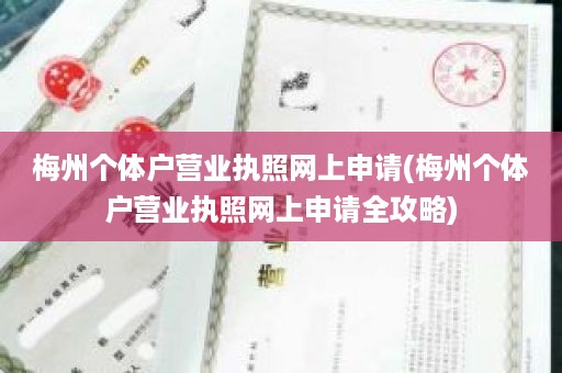 梅州个体户营业执照网上申请(梅州个体户营业执照网上申请全攻略)