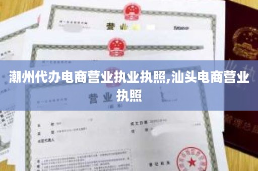 潮州代办电商营业执业执照,汕头电商营业执照