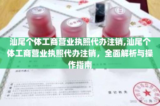 汕尾个体工商营业执照代办注销,汕尾个体工商营业执照代办注销，全面解析与操作指南