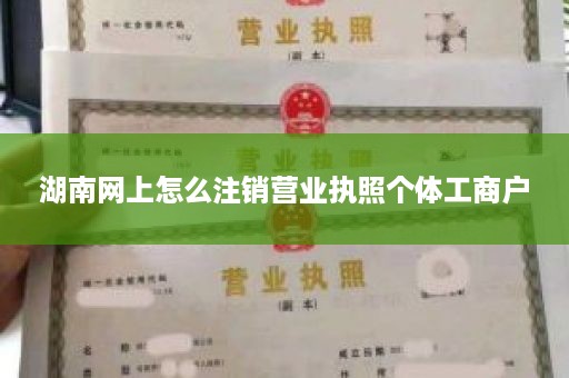 湖南网上怎么注销营业执照个体工商户