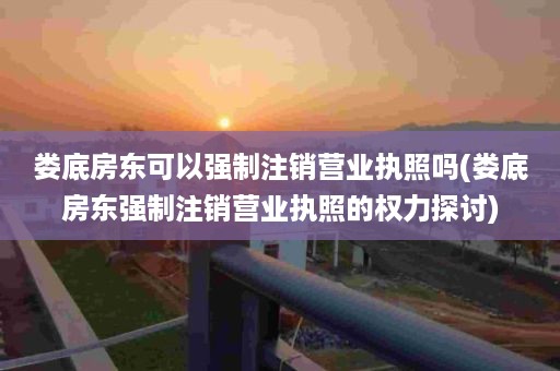 娄底房东可以强制注销营业执照吗(娄底房东强制注销营业执照的权力探讨)