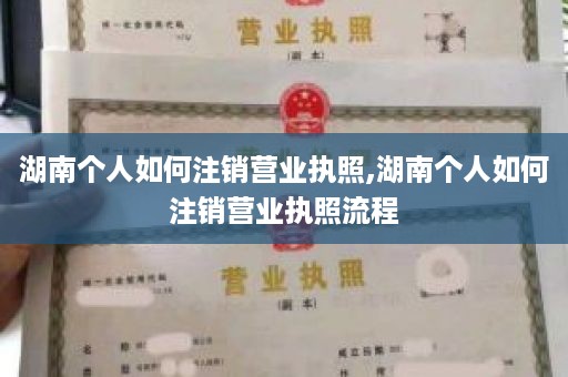 湖南个人如何注销营业执照,湖南个人如何注销营业执照流程