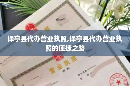 保亭县代办营业执照,保亭县代办营业执照的便捷之路