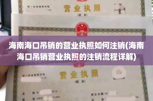 海南海口吊销的营业执照如何注销(海南海口吊销营业执照的注销流程详解)