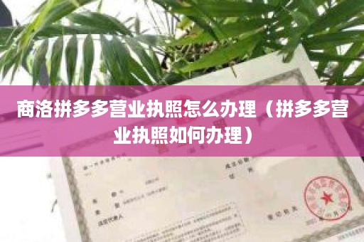 商洛拼多多营业执照怎么办理（拼多多营业执照如何办理）