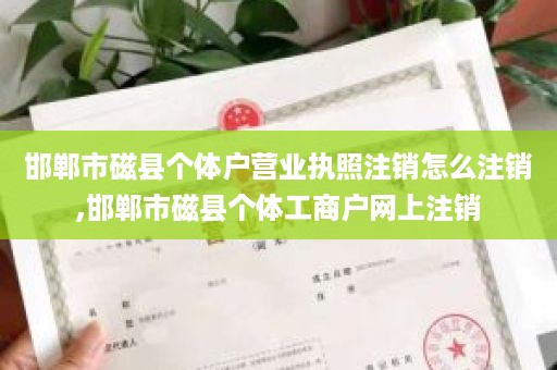 邯郸市磁县个体户营业执照注销怎么注销,邯郸市磁县个体工商户网上注销