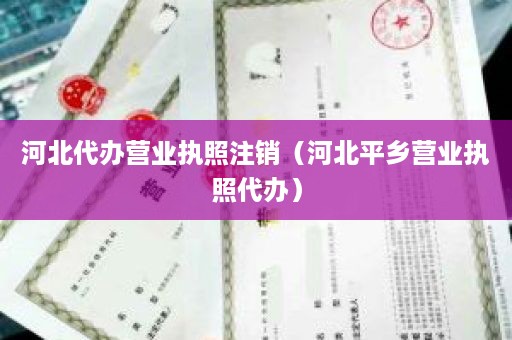 河北代办营业执照注销（河北平乡营业执照代办）