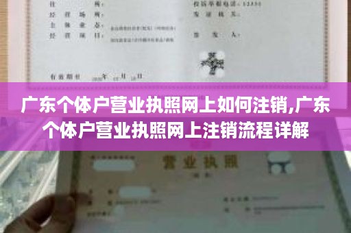 广东个体户营业执照网上如何注销,广东个体户营业执照网上注销流程详解