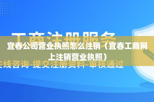 宜春公司营业执照怎么注销（宜春工商网上注销营业执照）