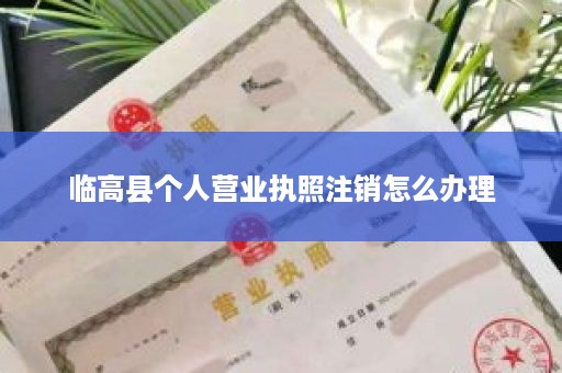临高县个人营业执照注销怎么办理