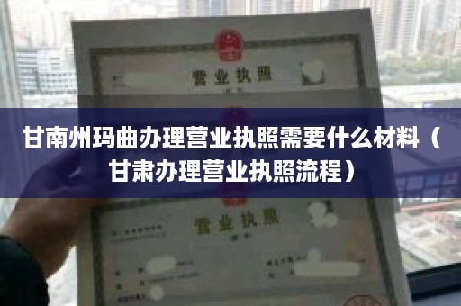 甘南州玛曲办理营业执照需要什么材料（甘肃办理营业执照流程）