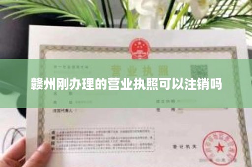 赣州刚办理的营业执照可以注销吗