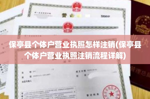 保亭县个体户营业执照怎样注销(保亭县个体户营业执照注销流程详解)