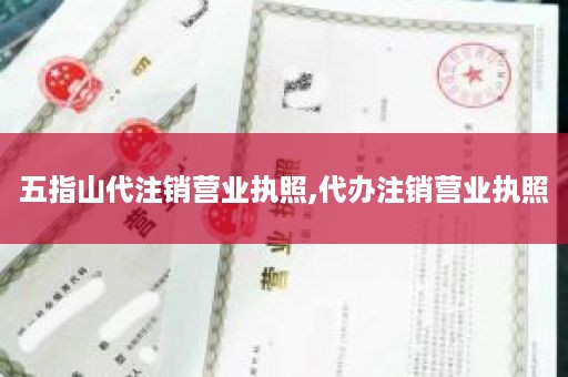 五指山代注销营业执照,代办注销营业执照