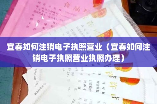 宜春如何注销电子执照营业（宜春如何注销电子执照营业执照办理）