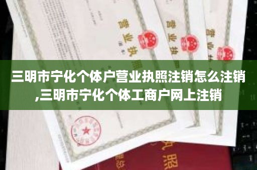 三明市宁化个体户营业执照注销怎么注销,三明市宁化个体工商户网上注销