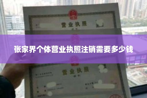 张家界个体营业执照注销需要多少钱