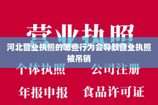 河北营业执照的哪些行为会导致营业执照被吊销