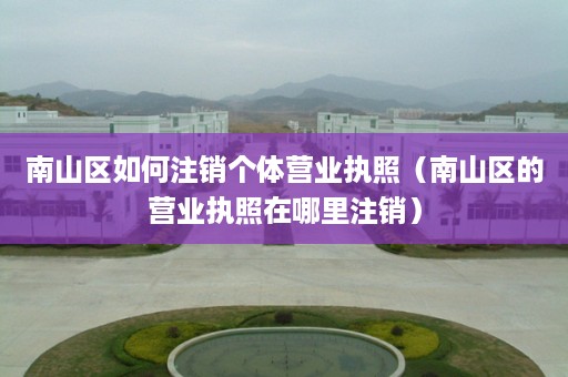 南山区如何注销个体营业执照（南山区的营业执照在哪里注销）