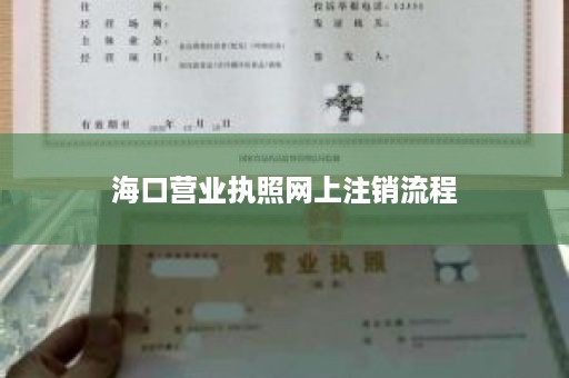 海口营业执照网上注销流程