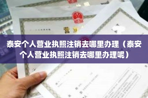 泰安个人营业执照注销去哪里办理（泰安个人营业执照注销去哪里办理呢）