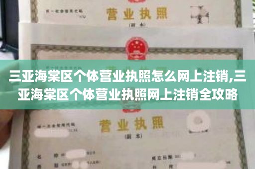 三亚海棠区个体营业执照怎么网上注销,三亚海棠区个体营业执照网上注销全攻略