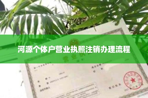 河源个体户营业执照注销办理流程