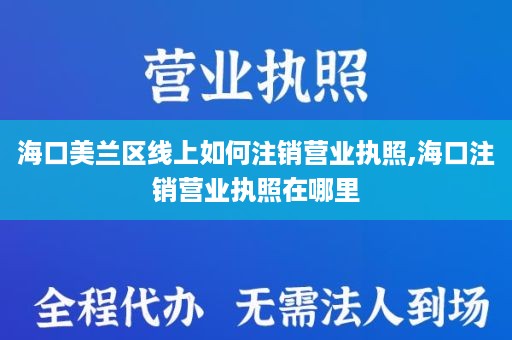 海口美兰区线上如何注销营业执照,海口注销营业执照在哪里