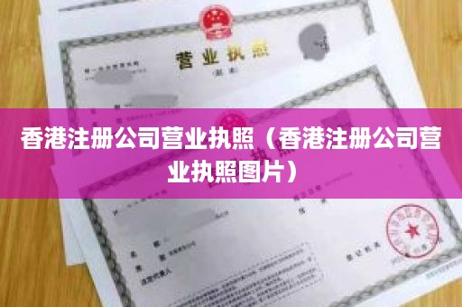 香港注册公司营业执照（香港注册公司营业执照图片）