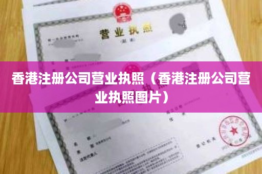 香港注册公司营业执照（香港注册公司营业执照图片）