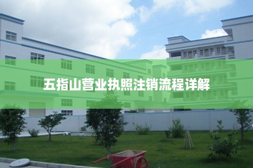 五指山营业执照注销流程详解