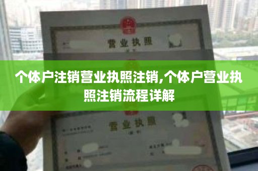 个体户注销营业执照注销,个体户营业执照注销流程详解