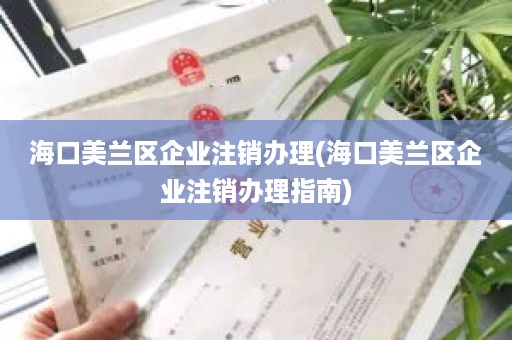 海口美兰区企业注销办理(海口美兰区企业注销办理指南)