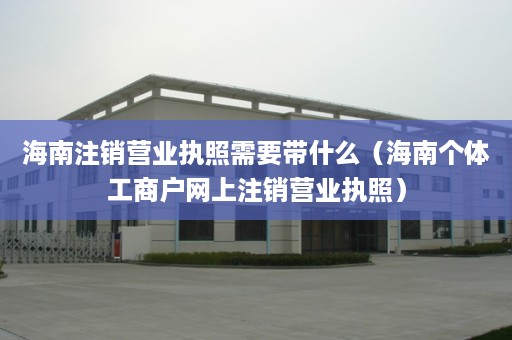 海南注销营业执照需要带什么（海南个体工商户网上注销营业执照）