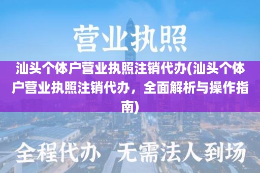 汕头个体户营业执照注销代办(汕头个体户营业执照注销代办，全面解析与操作指南)