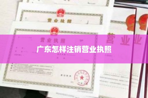 广东怎样注销营业执照
