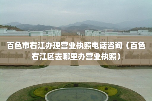 百色市右江办理营业执照电话咨询（百色右江区去哪里办营业执照）