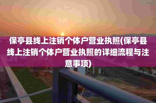 保亭县线上注销个体户营业执照(保亭县线上注销个体户营业执照的详细流程与注意事项)