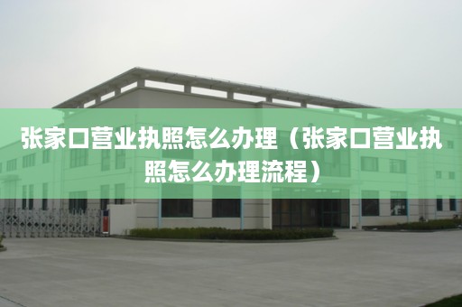 张家口营业执照怎么办理（张家口营业执照怎么办理流程）
