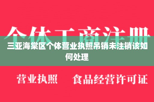 三亚海棠区个体营业执照吊销未注销该如何处理