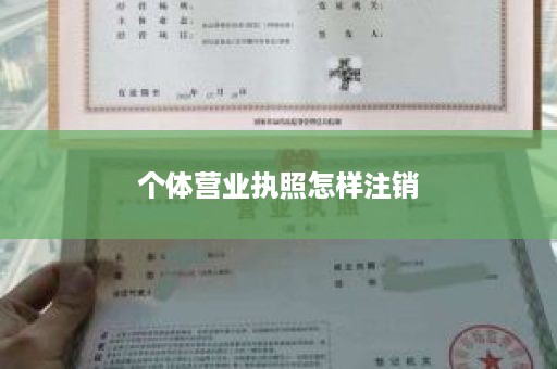 个体营业执照怎样注销