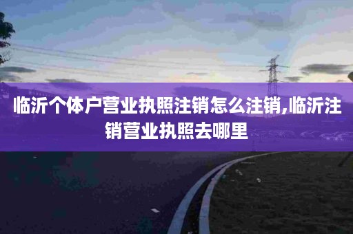 临沂个体户营业执照注销怎么注销,临沂注销营业执照去哪里