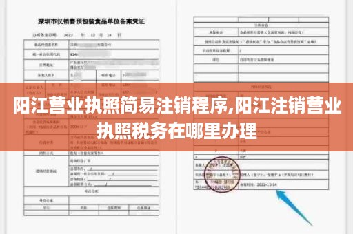 阳江营业执照简易注销程序,阳江注销营业执照税务在哪里办理