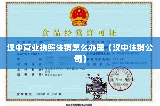 汉中营业执照注销怎么办理（汉中注销公司）