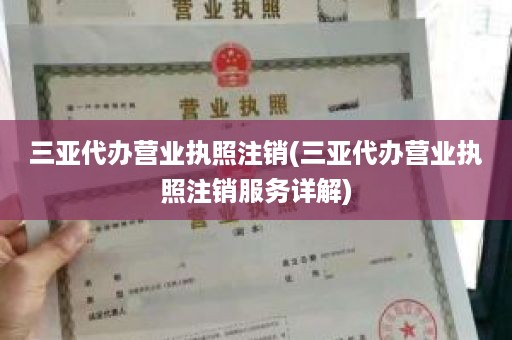 三亚代办营业执照注销(三亚代办营业执照注销服务详解)