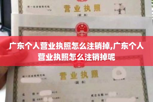 广东个人营业执照怎么注销掉,广东个人营业执照怎么注销掉呢