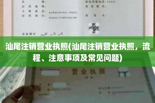 汕尾注销营业执照(汕尾注销营业执照，流程、注意事项及常见问题)