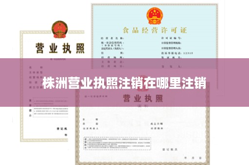 株洲营业执照注销在哪里注销